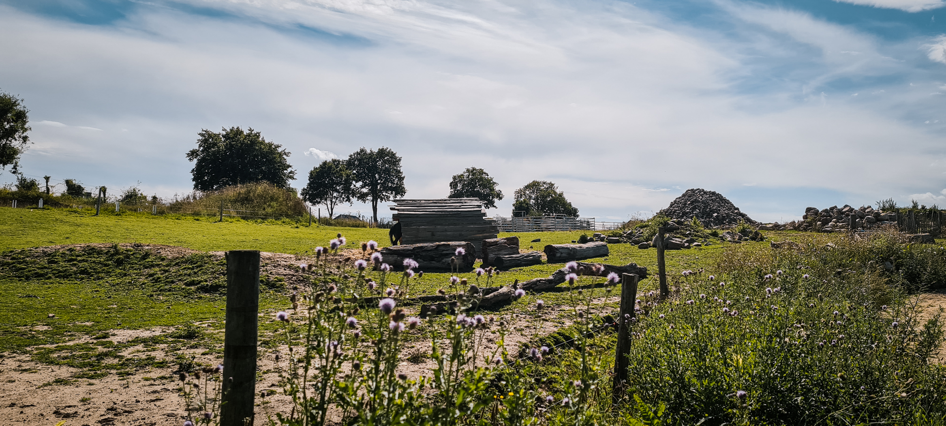 Hoofstock and Horse area in the back of the zoo
