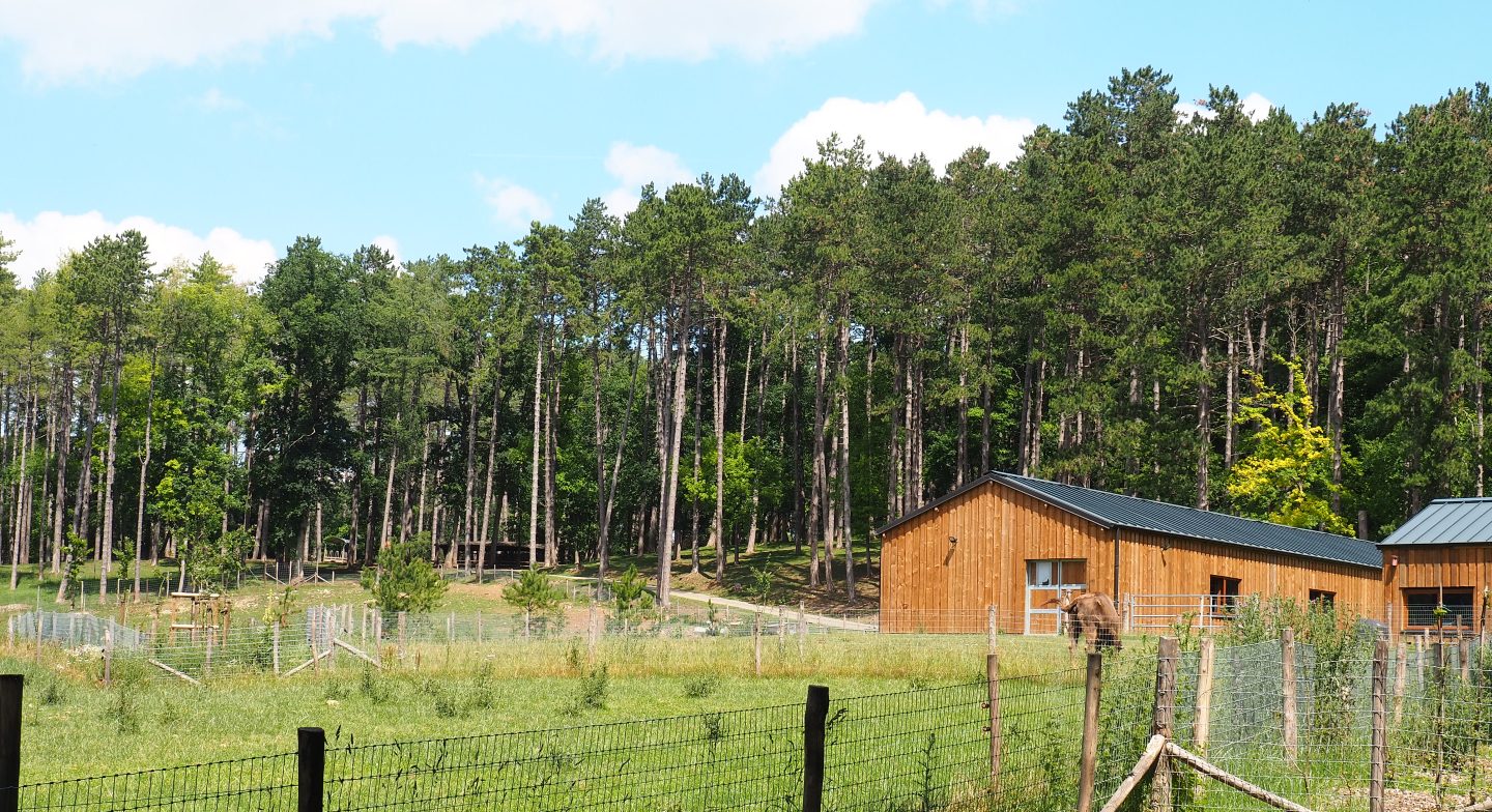 Hoofstock barn and separation area, 2020-07-12
