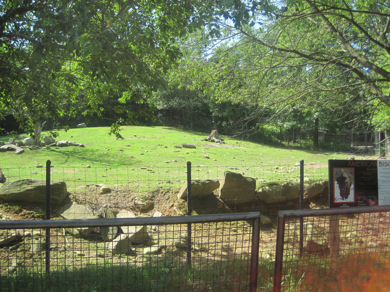 Hoofstock- Bison/Deer Exhibit