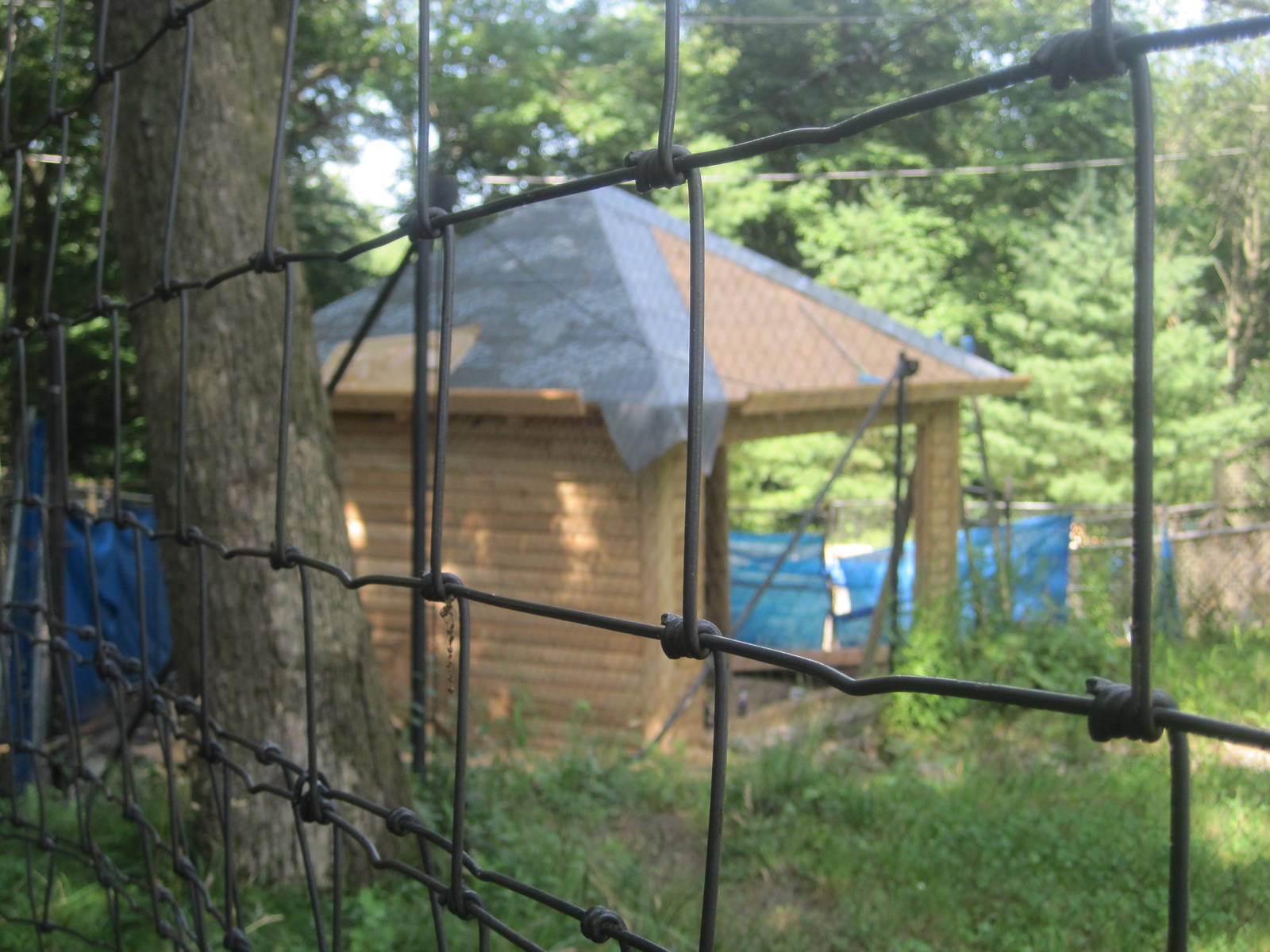 Hoofstock- Construction