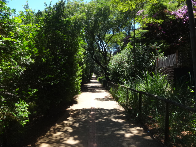 Hoofstock corridor - Belo Horizonte zoo