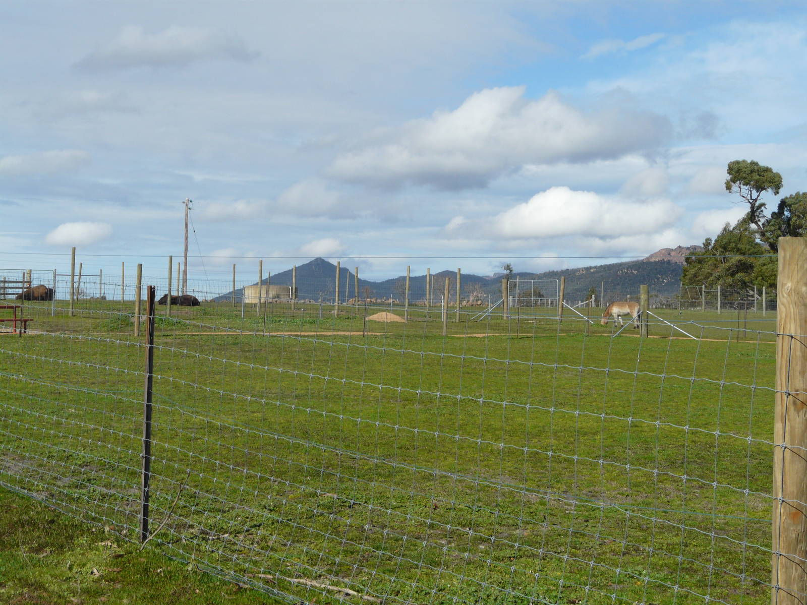 Hoofstock enclosures