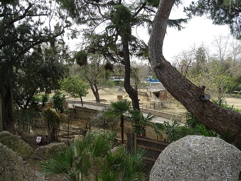 Hoofstock enclosures