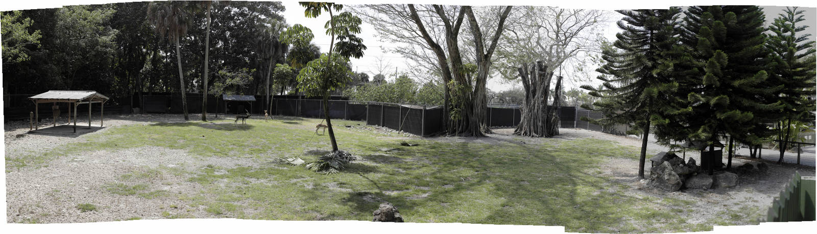 Hoofstock Full exhibit