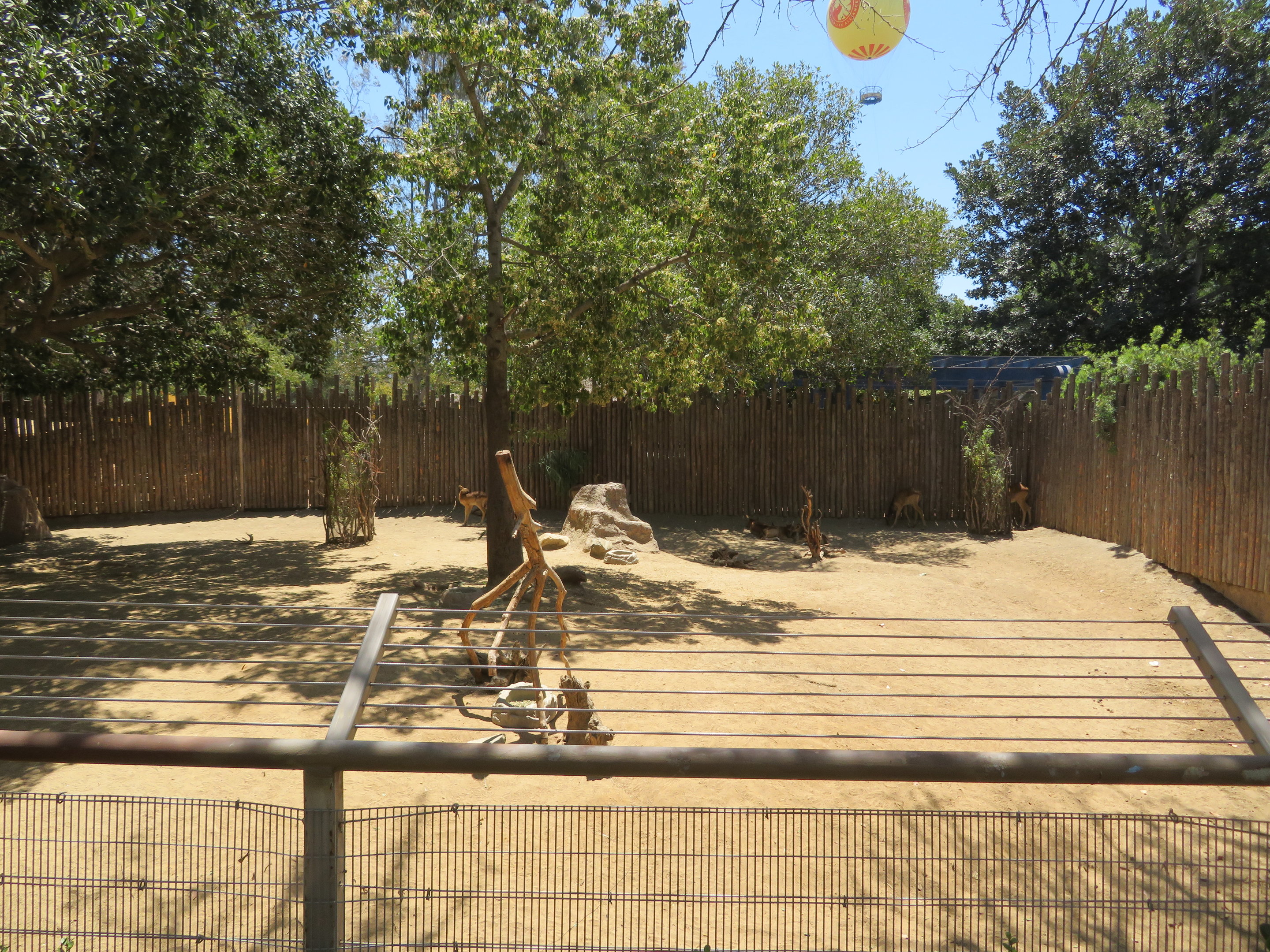 Hoofstock Nursery Yard