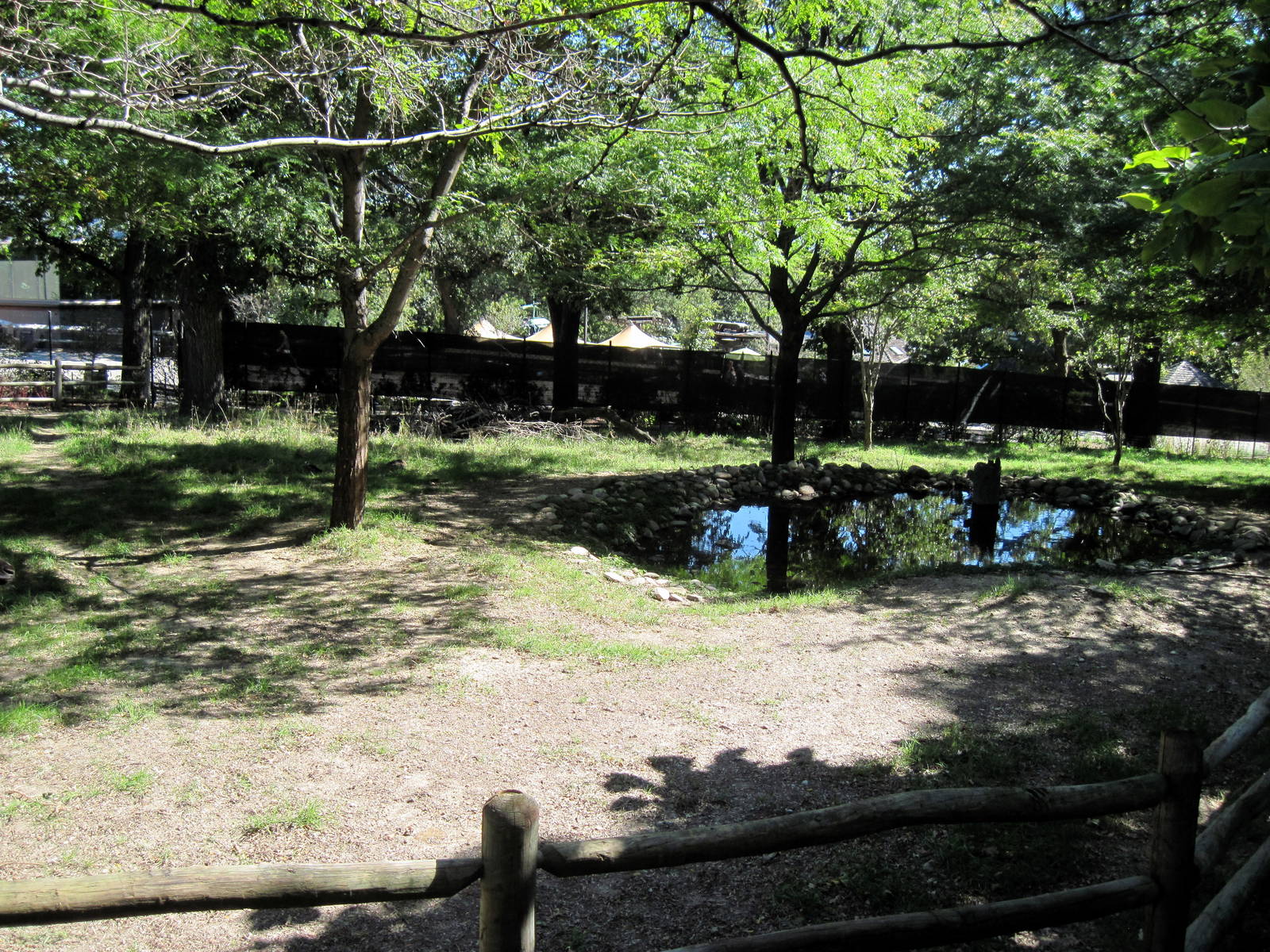 Hoofstock-Okapi Exhibit