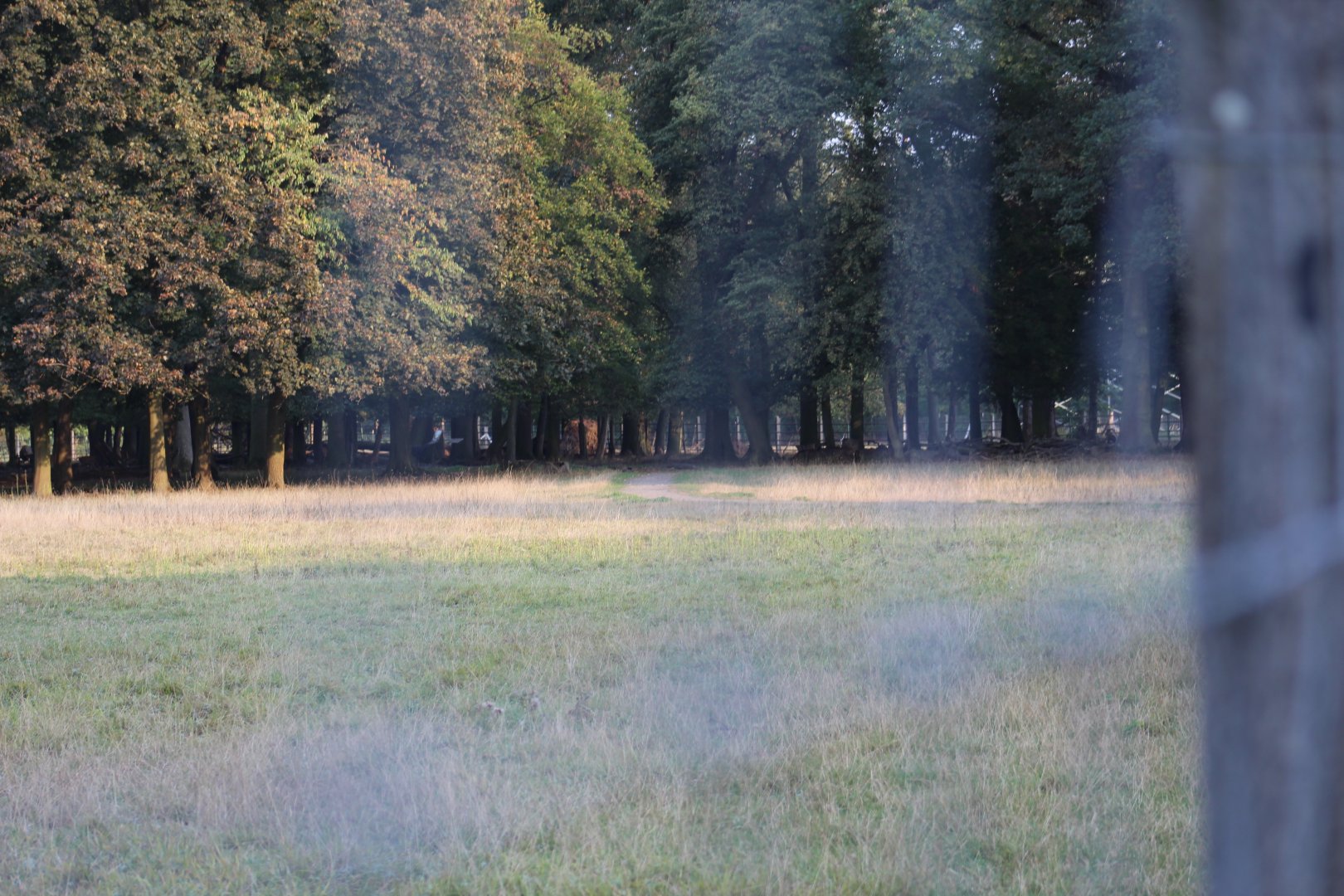 Hoofstock Paddock Part 4