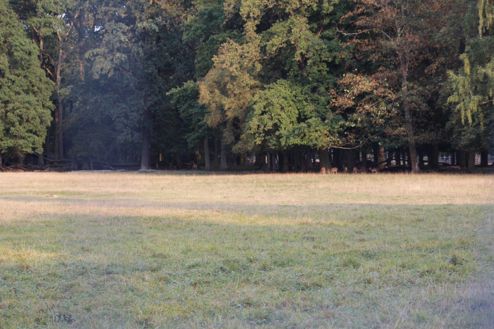 Hoofstock Paddock Part 5