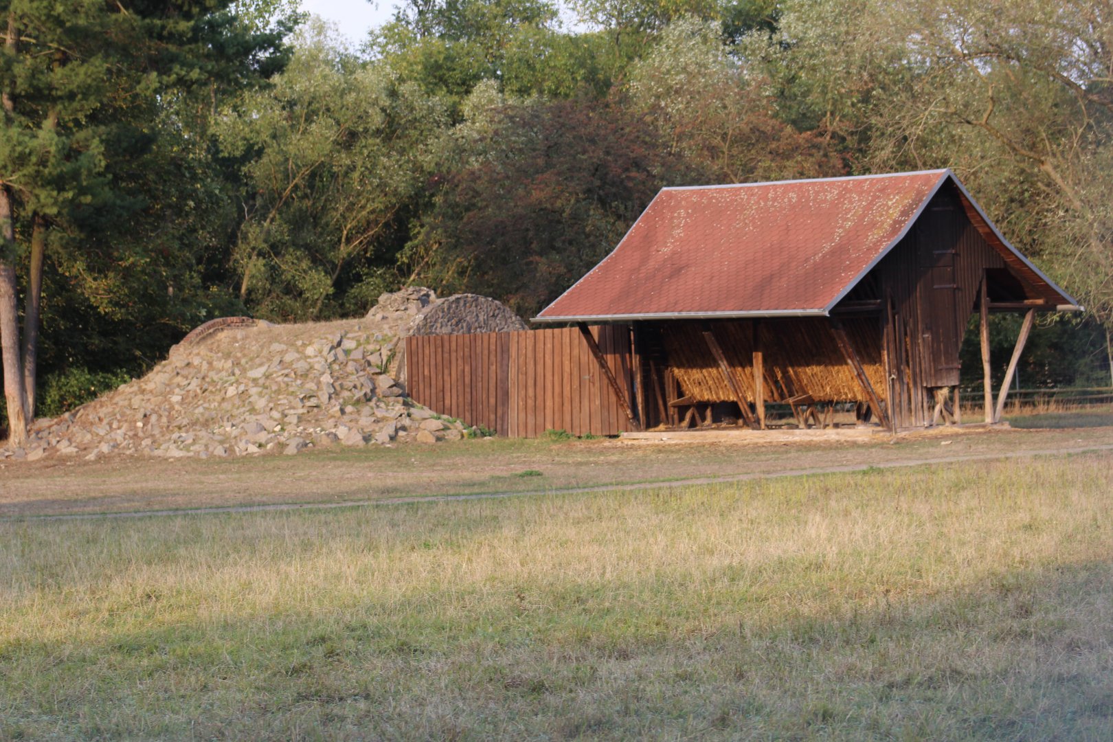 Hoofstock Paddock Part 7