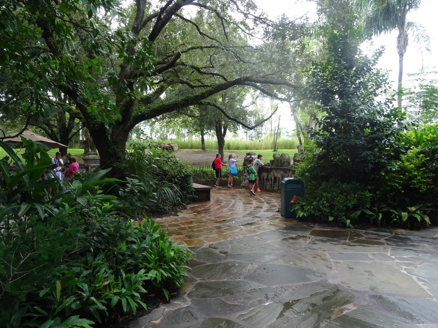 Hoofstock Viewing Area at Disney's Animal Kingdom (2014)