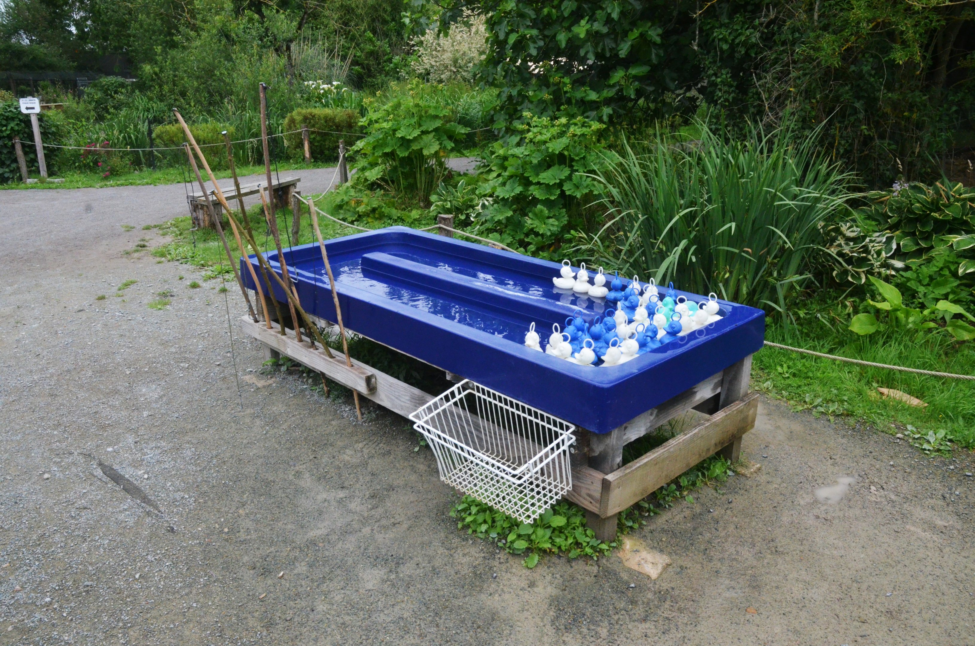 Hook a Duck at Spaycific'Zoo, 13/06/18