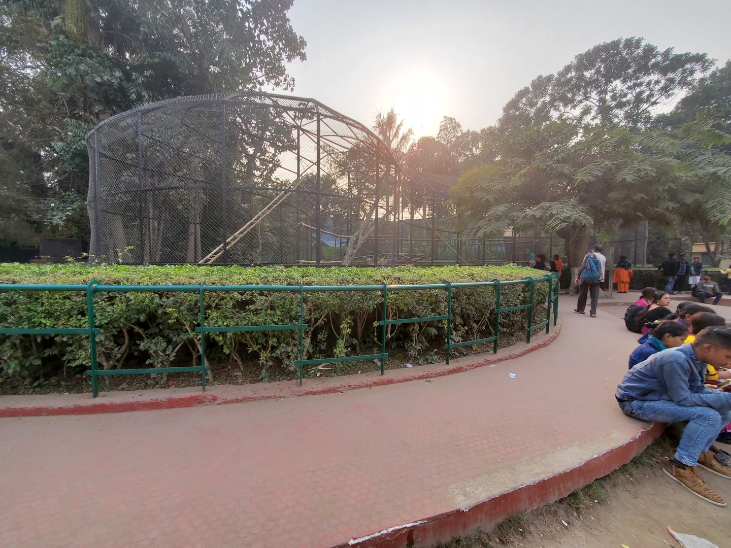 Hoolock Gibbon Exhibit - January 2023