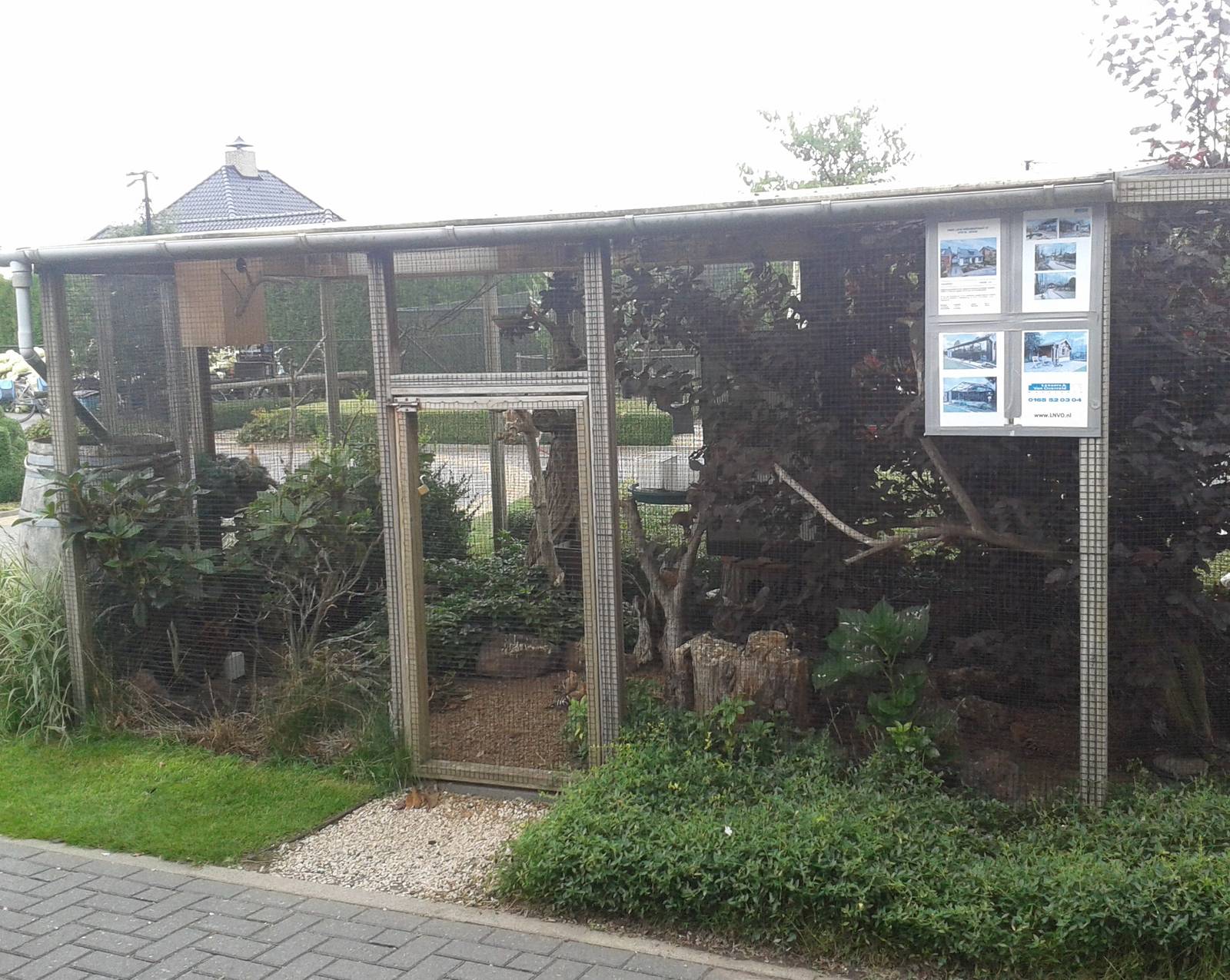 Hoopoe and shama aviary