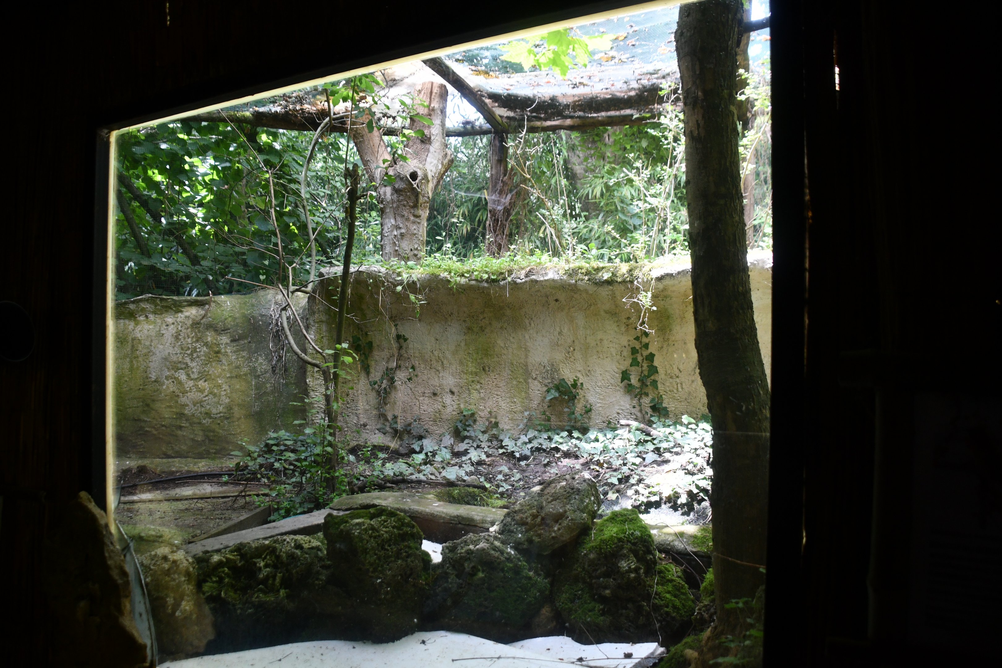 Hoopoe/Bee-eater/Spotted Redshank/Bohemia Waxwing exhibit