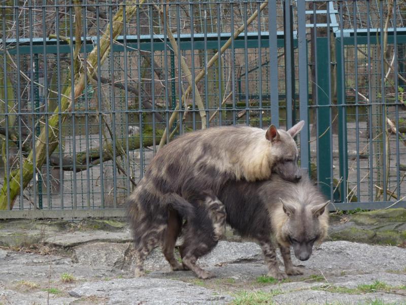 Hope for the Future ?