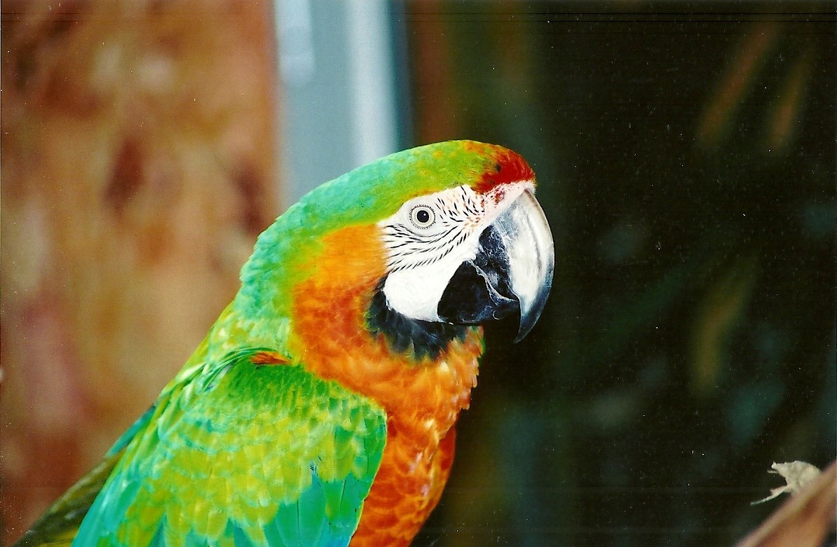 Hopefully Hyak2 will view this photograph  - taken on 12th September 2008