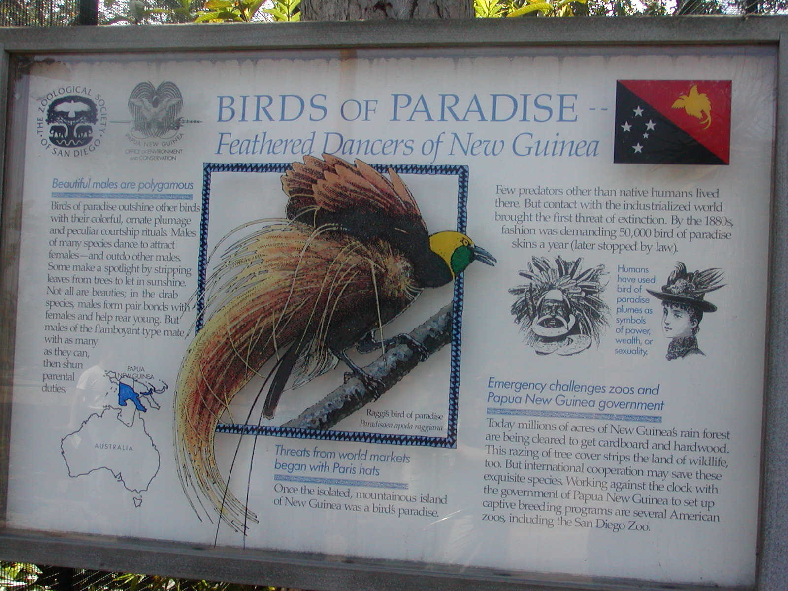 Horn and Hoof Mesa - Bird of Paradise Signage