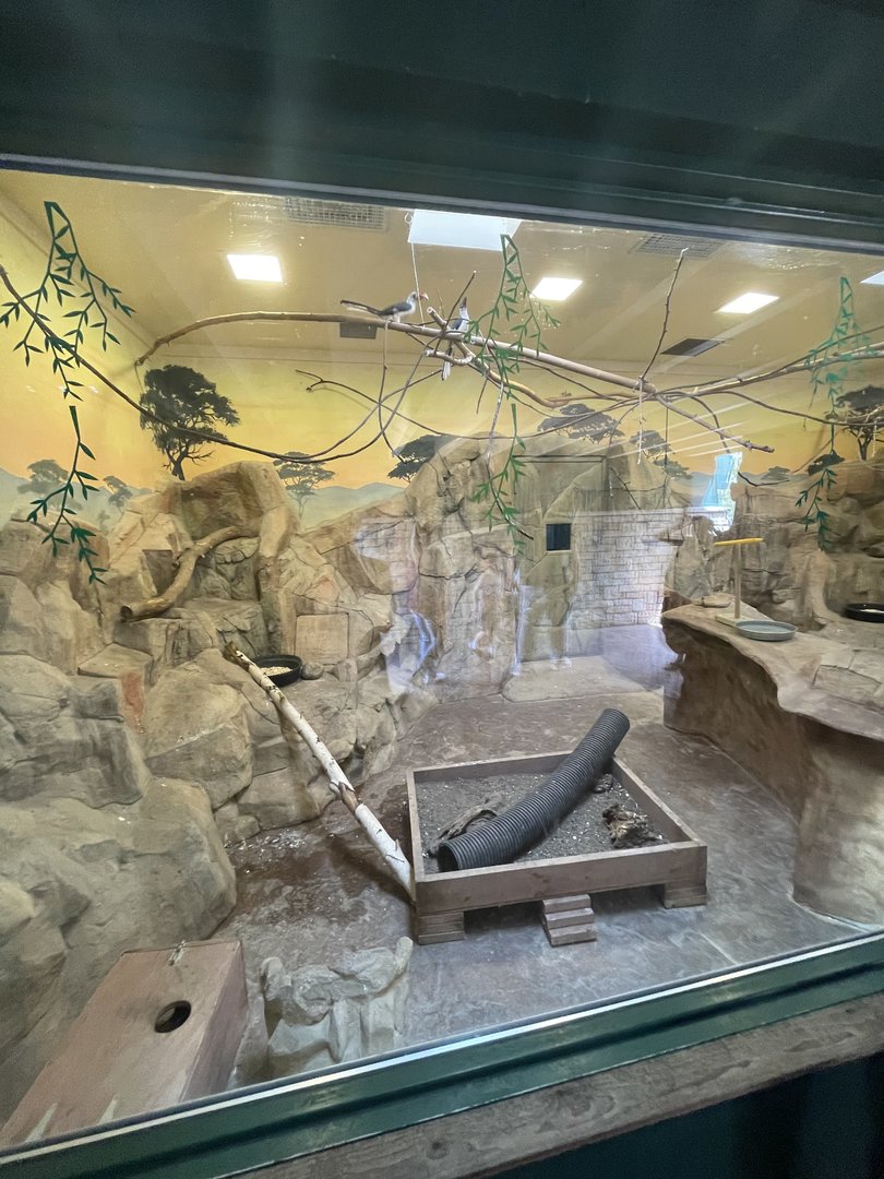 Hornbill and Meerkat Exhibit (5/2/21) to