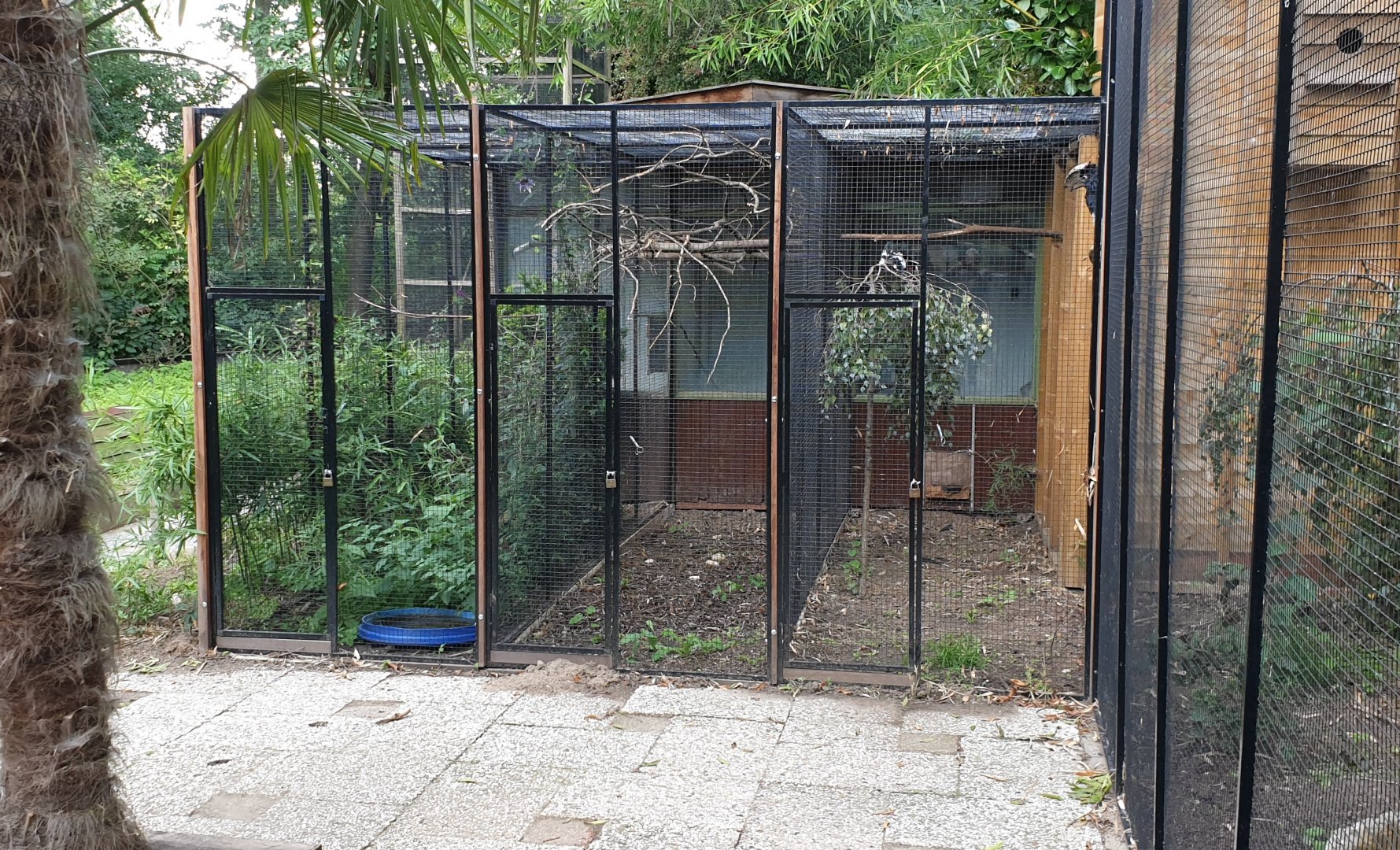 Hornbill and Squirrel enclosures