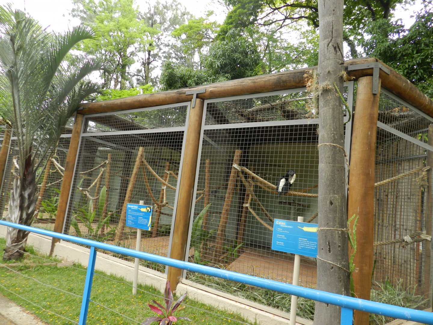 Hornbill and toucan aviaries - Sorocaba zoo (PZMQB)