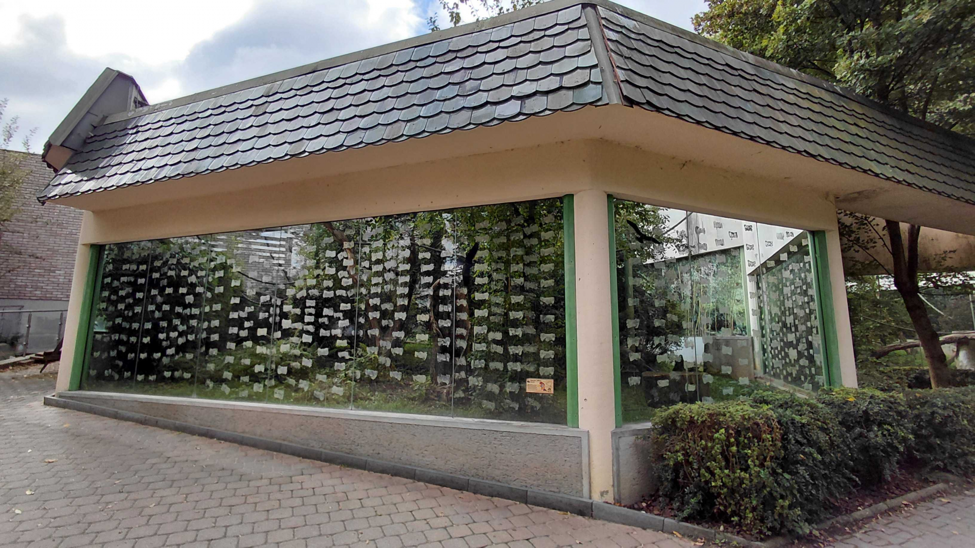 Hornbill + argus exhibit