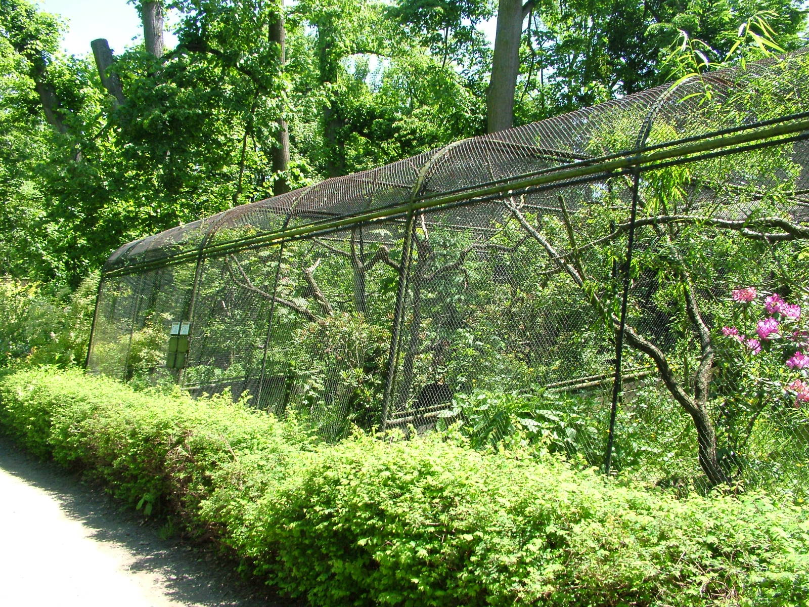 Hornbill Avairies at Zlin, 28/05/10