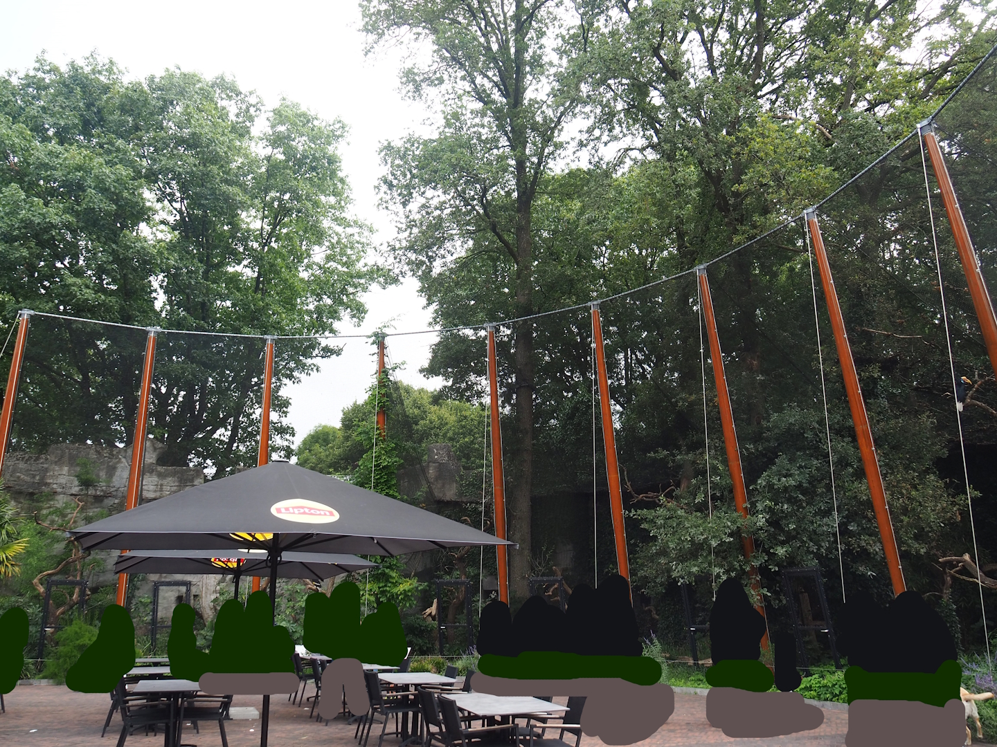 Hornbill aviaries, 2023-08-17