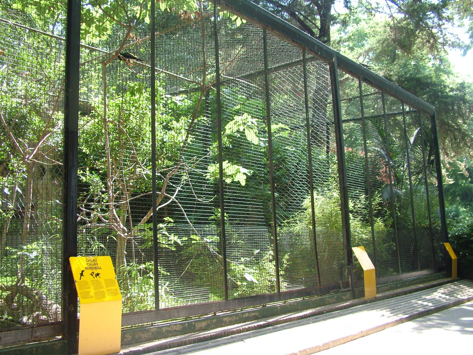 Hornbill Aviaries at Barcelona, 30/05/11