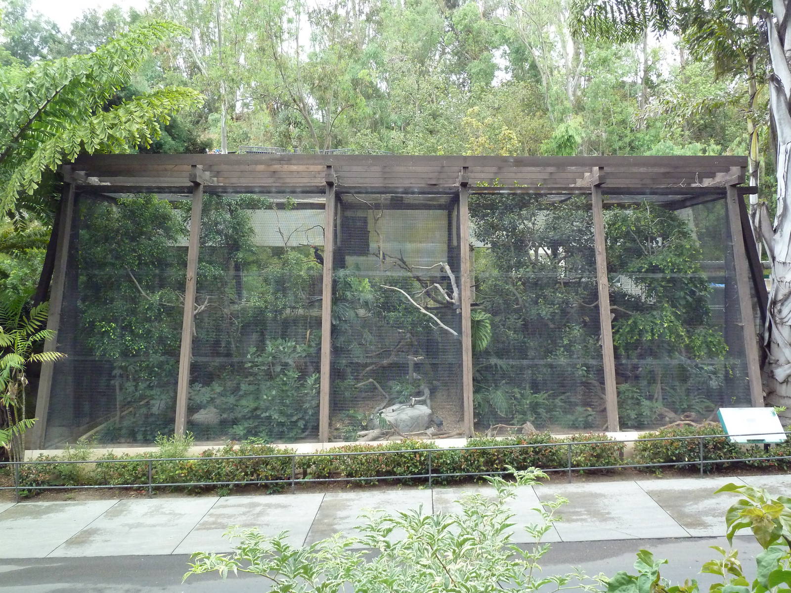 Hornbill Aviaries