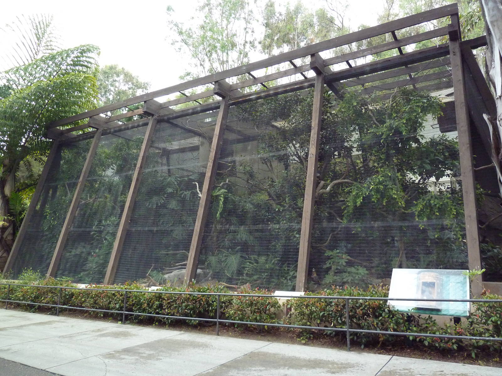 Hornbill Aviaries