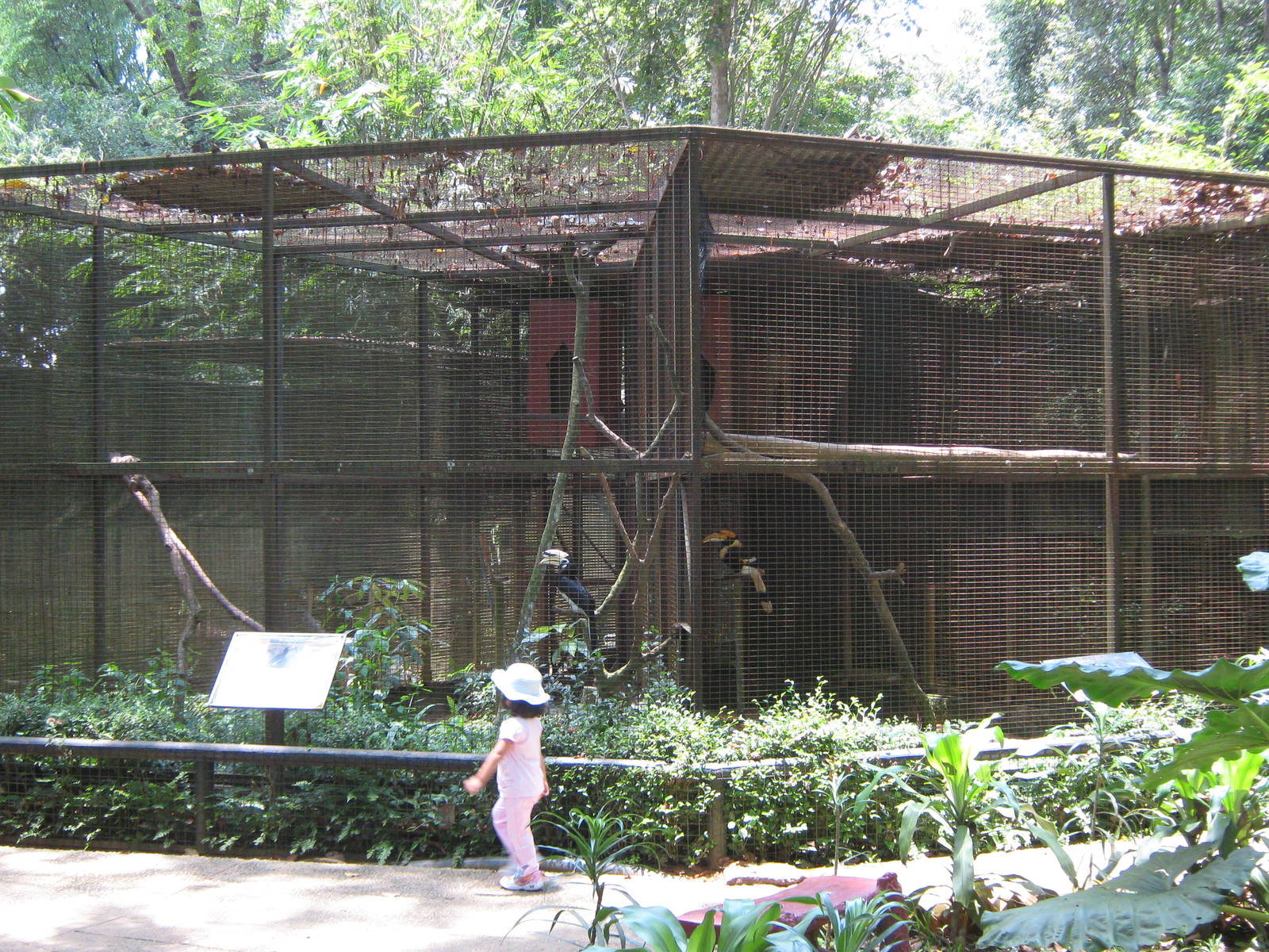hornbill aviaries
