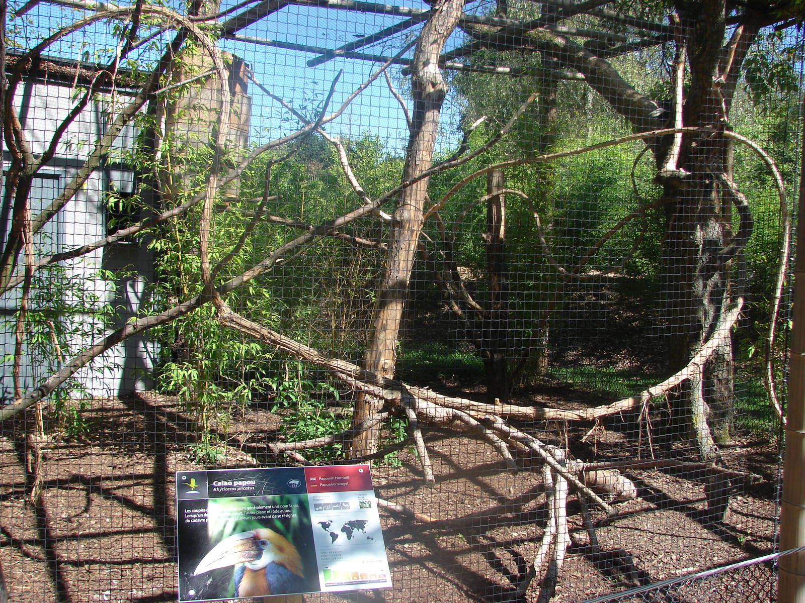 Hornbill aviaries