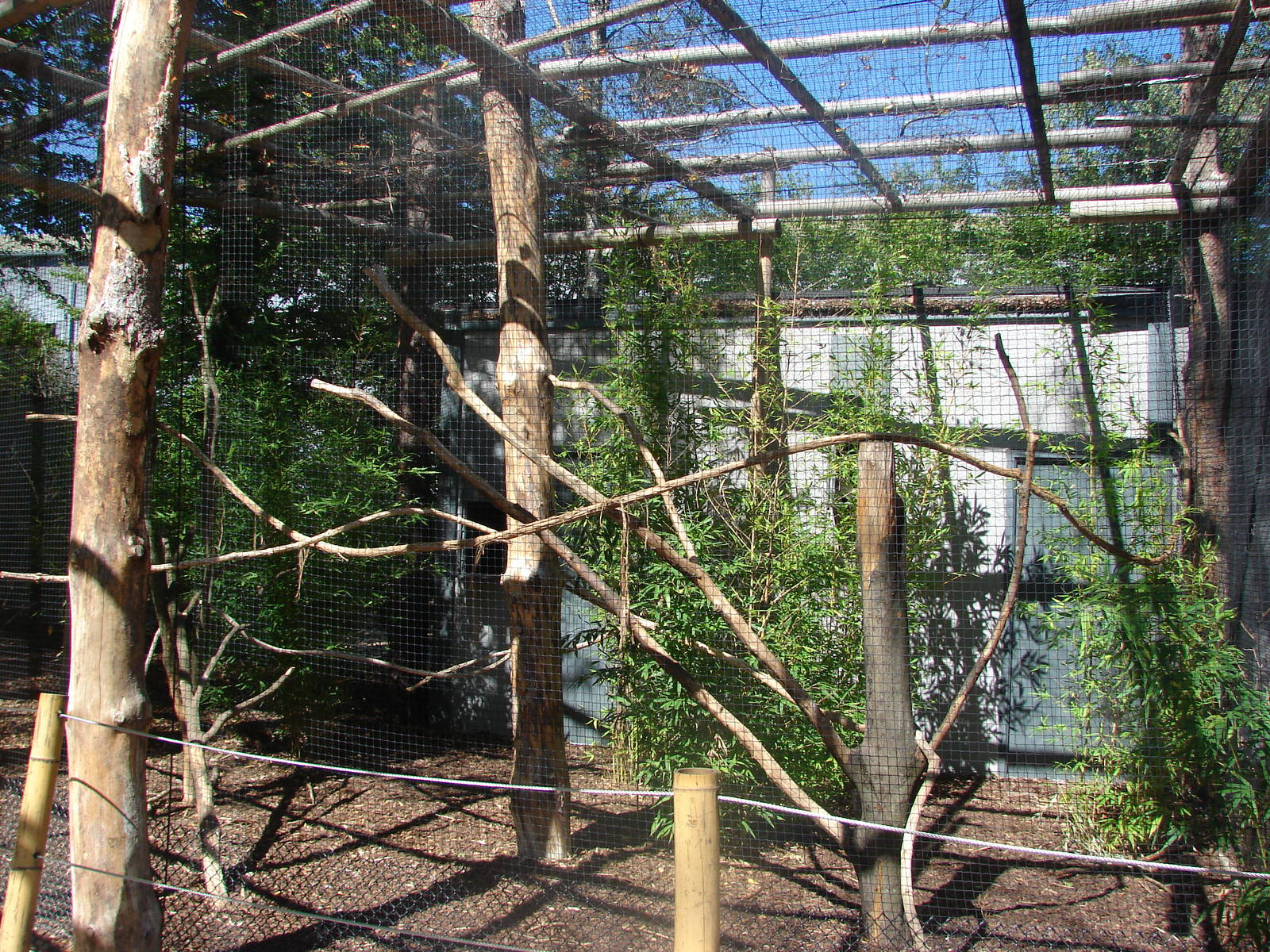 Hornbill aviaries