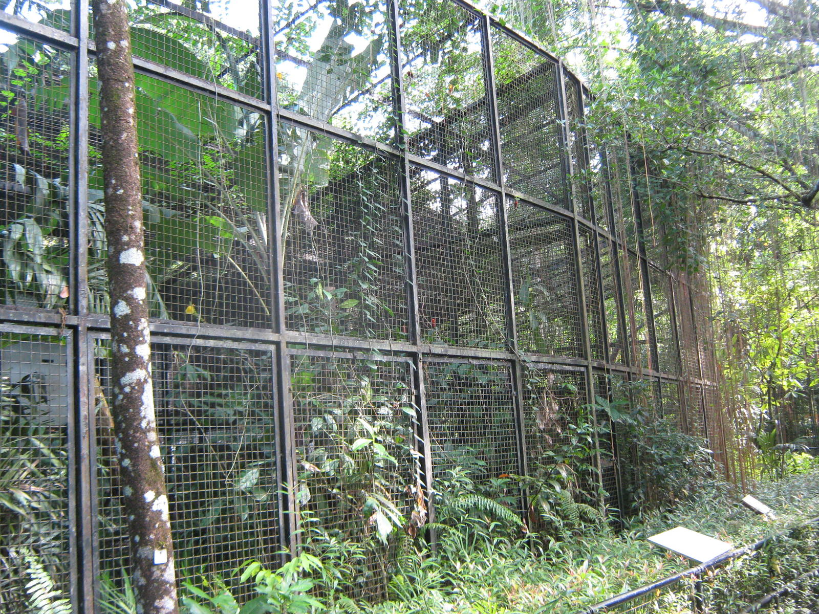 hornbill aviaries