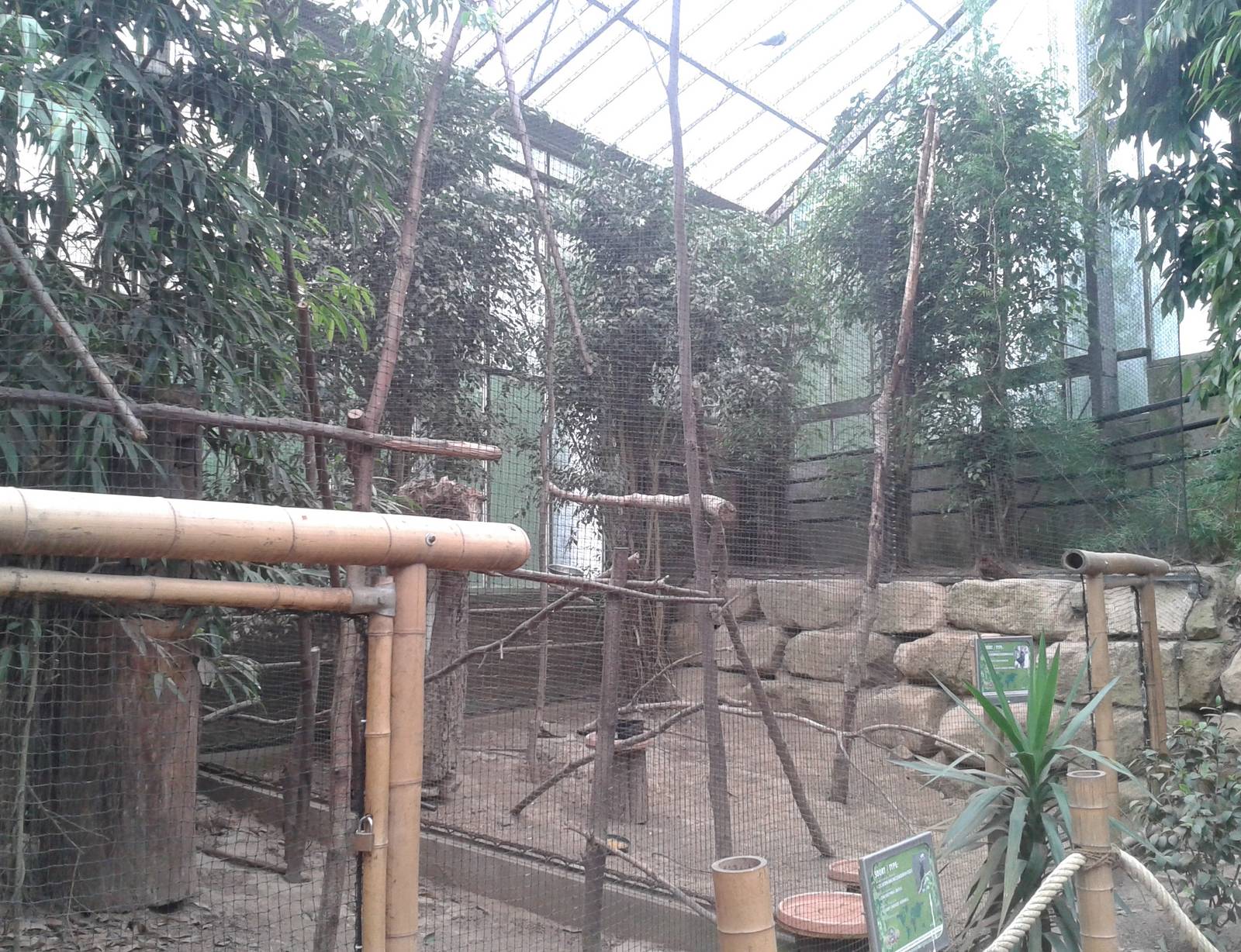 Hornbill aviaries