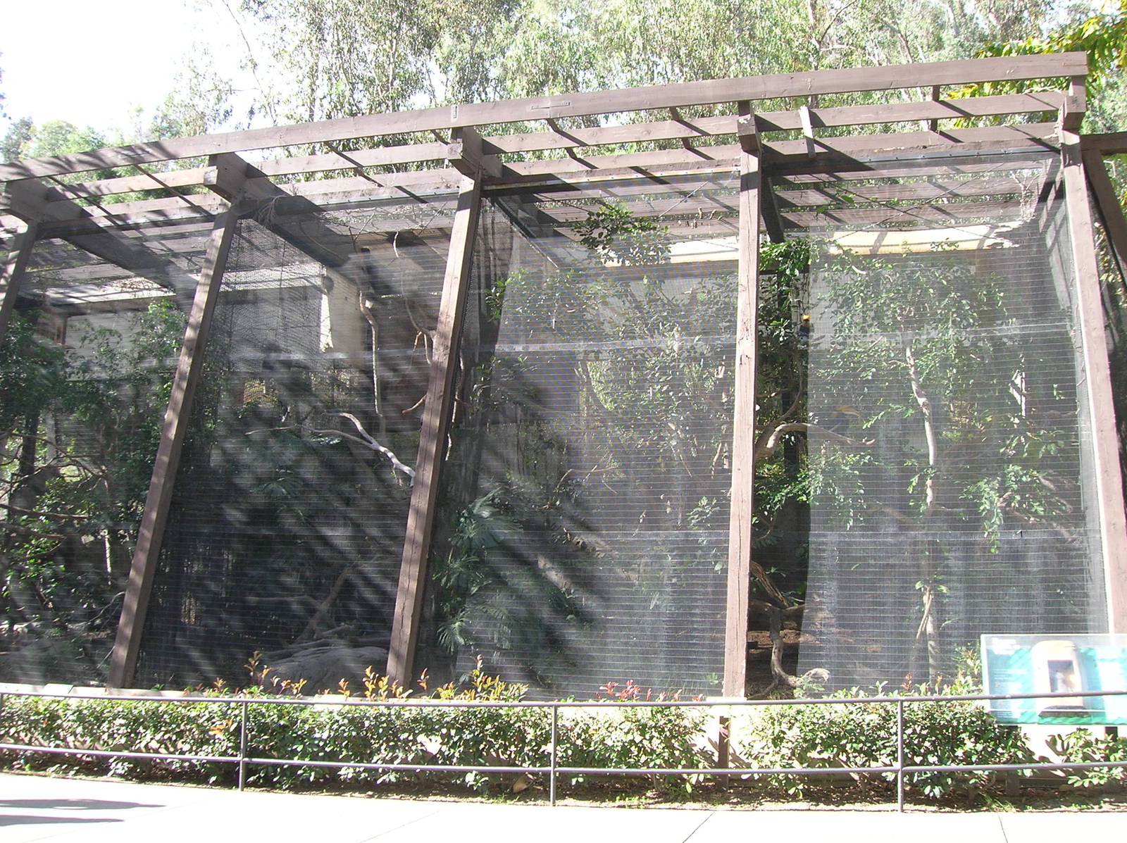 Hornbill Aviary 1-19-09