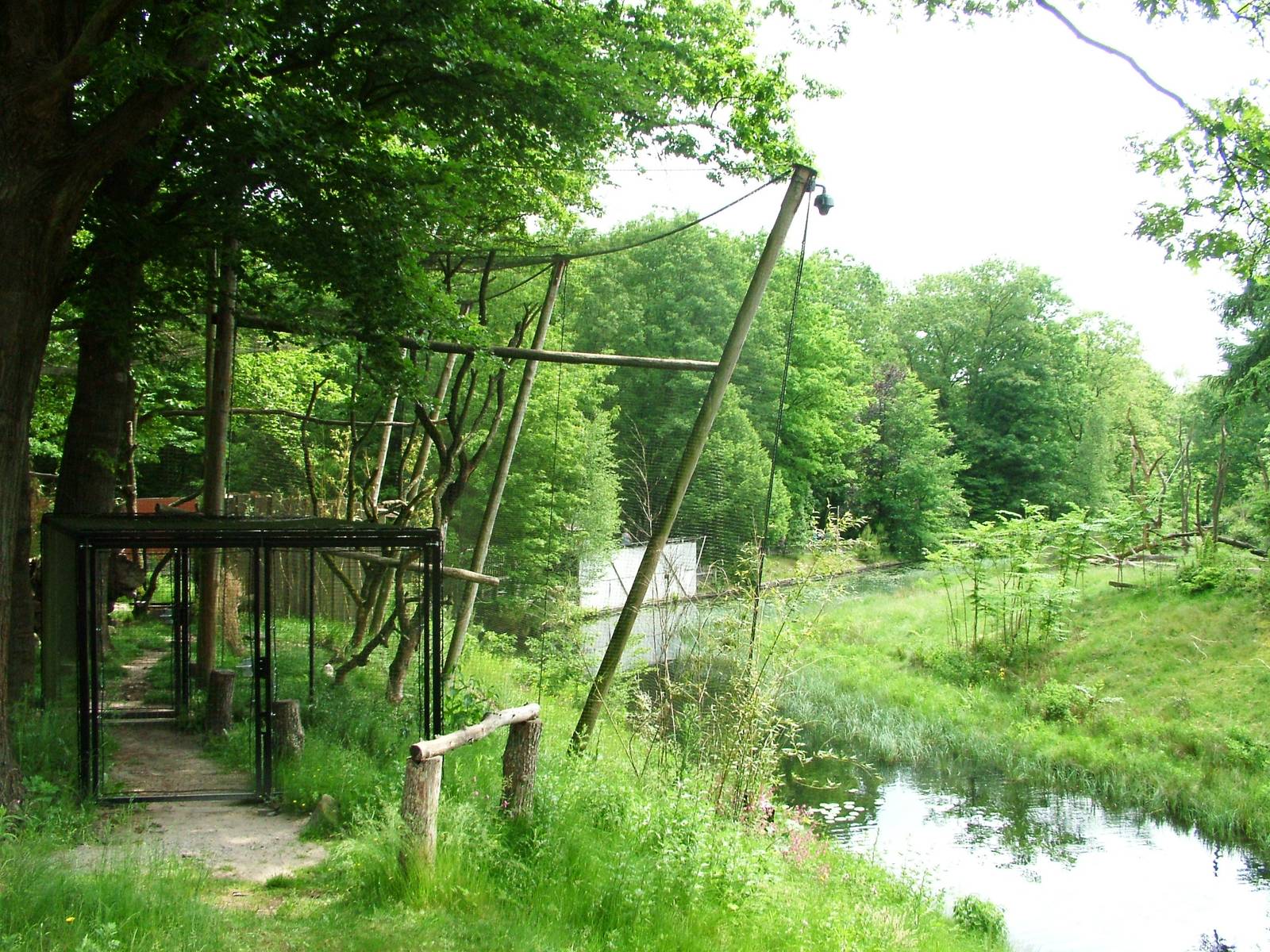Hornbill Aviary and Gorilla Island at Apenheul, 30/05/12