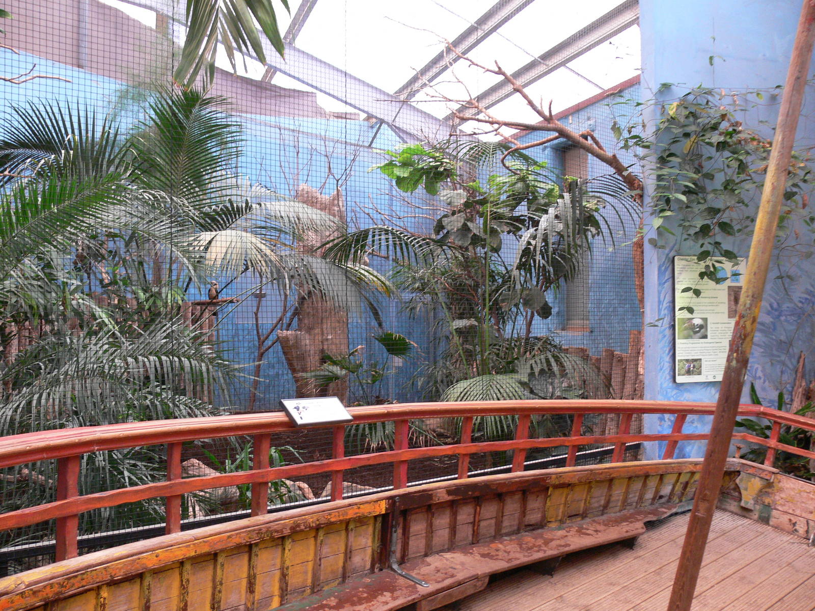 Hornbill Aviary at Chester, 23/07/14