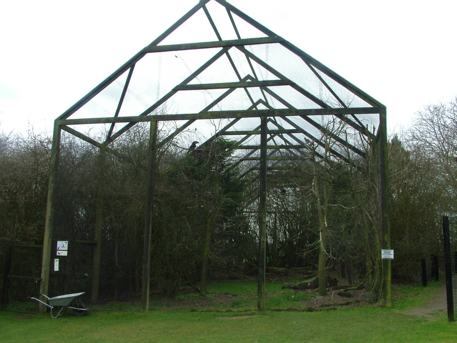 Hornbill aviary at Linton 05/04/10