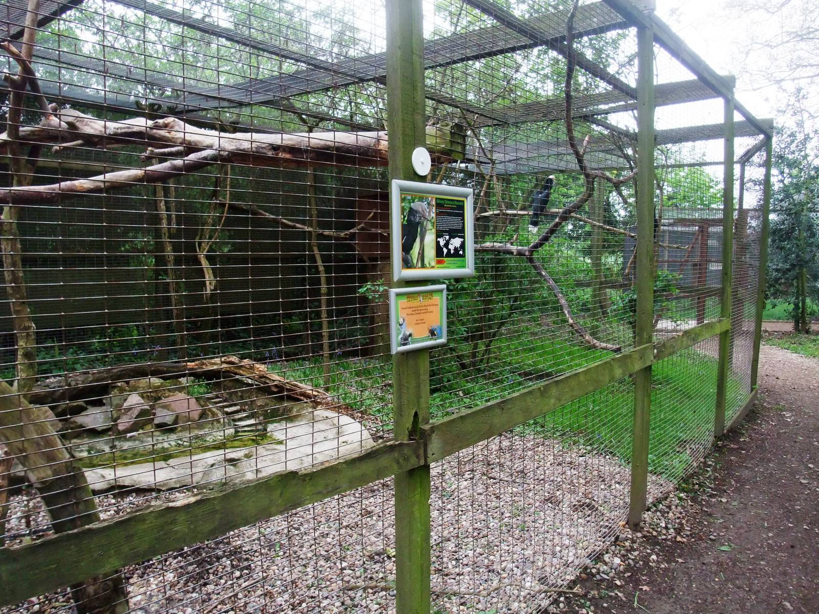 Hornbill Aviary at Tropical Birdland, 18/05/13
