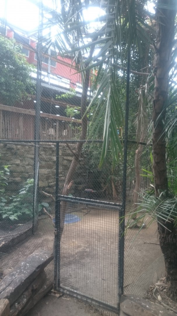 Hornbill-aviary in the Bamboo Jungle