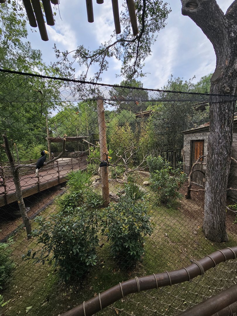 Hornbill aviary other side