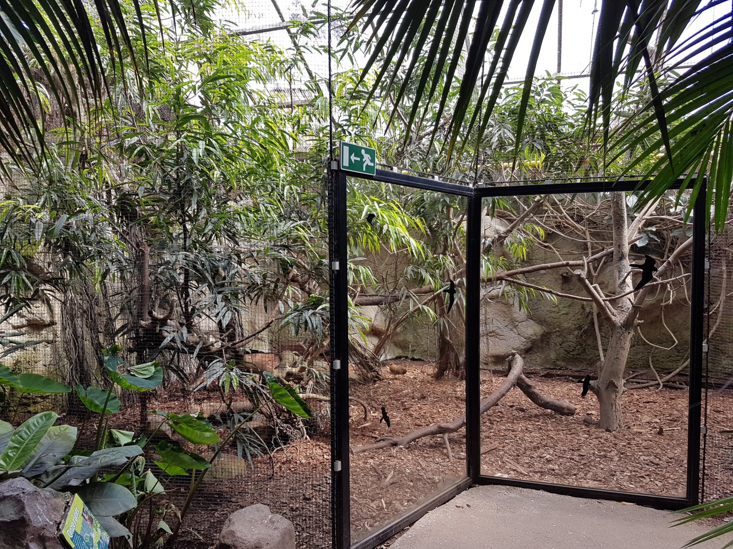 Hornbill-aviary Philippine Hall