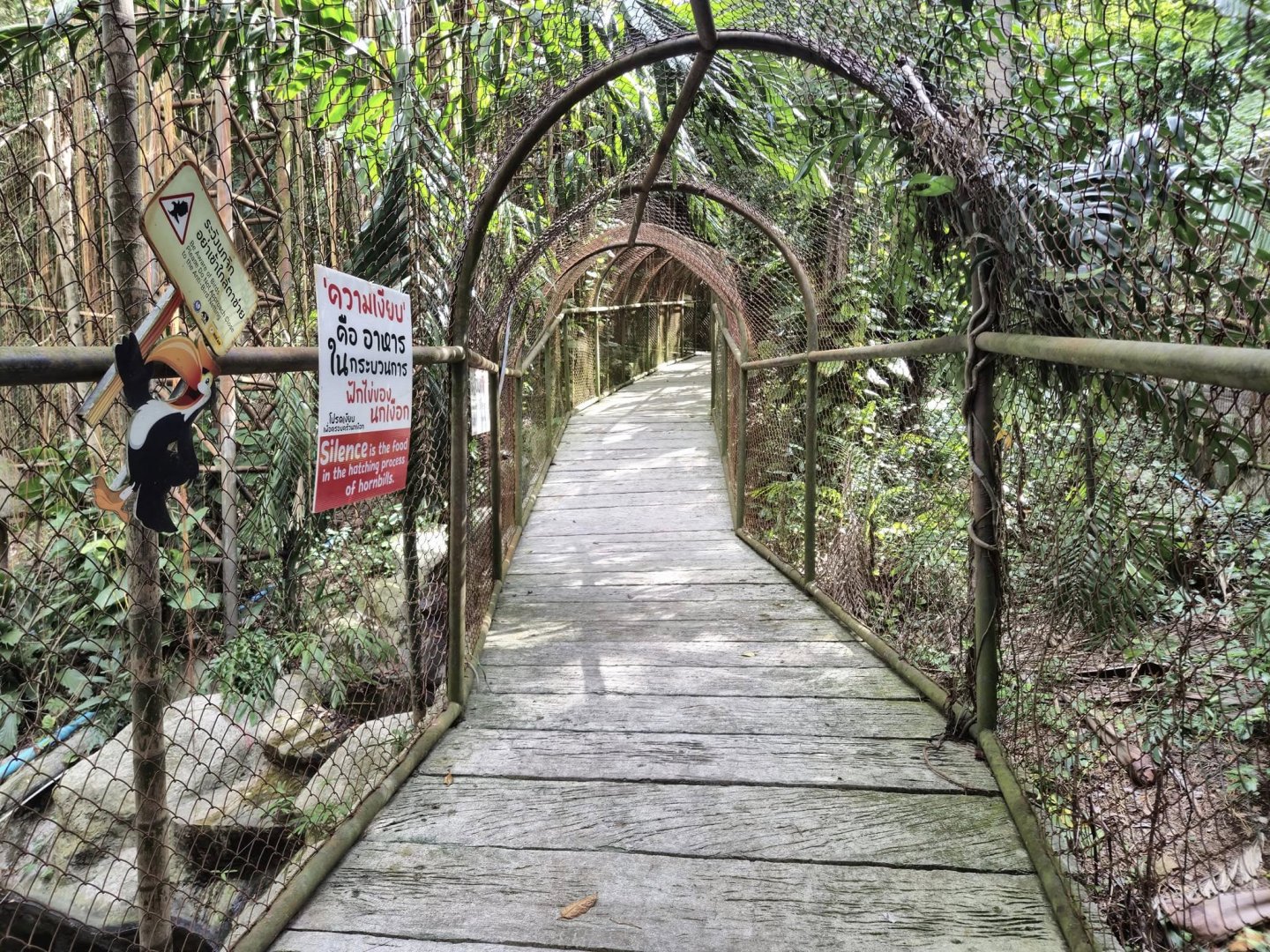 Hornbill Aviary Tunnel