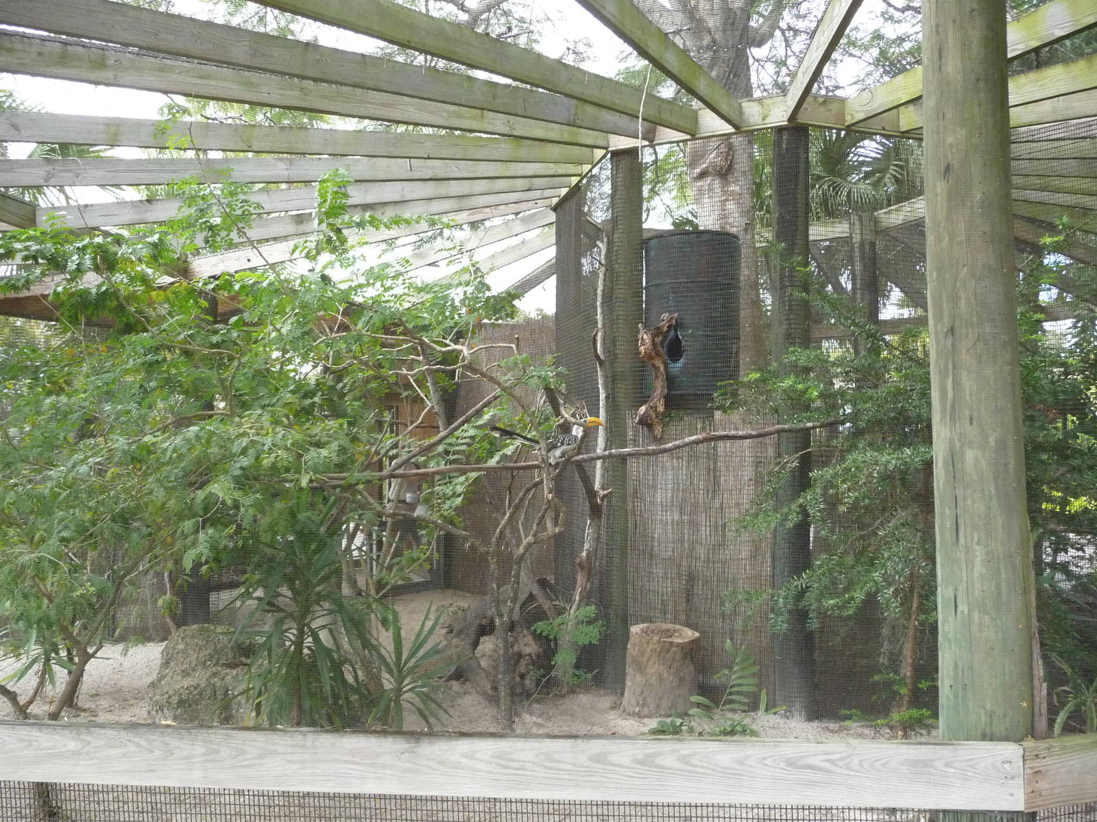 Hornbill Aviary