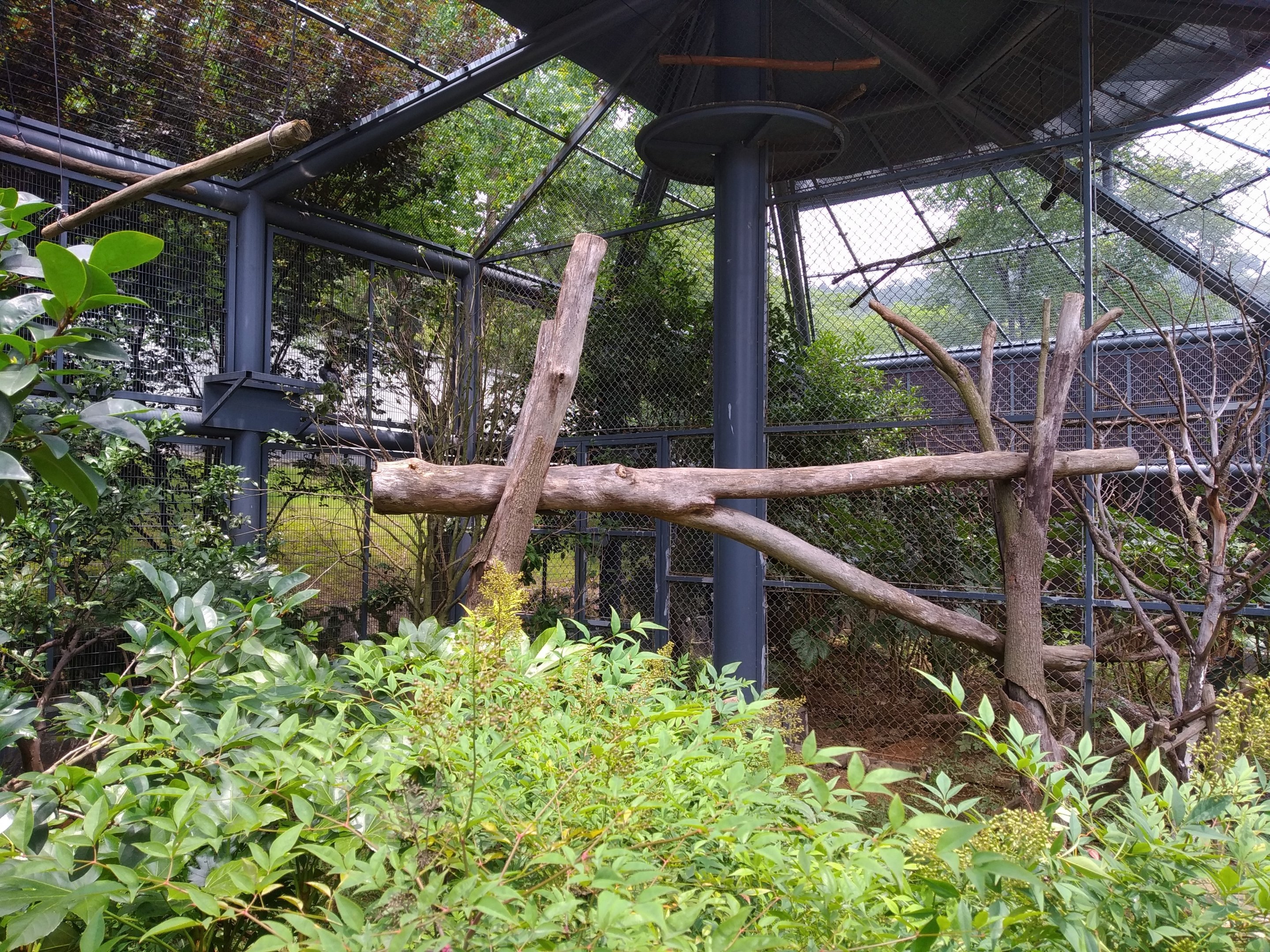 Hornbill Aviary