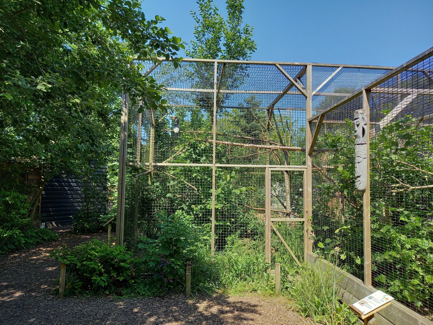 Hornbill-aviary