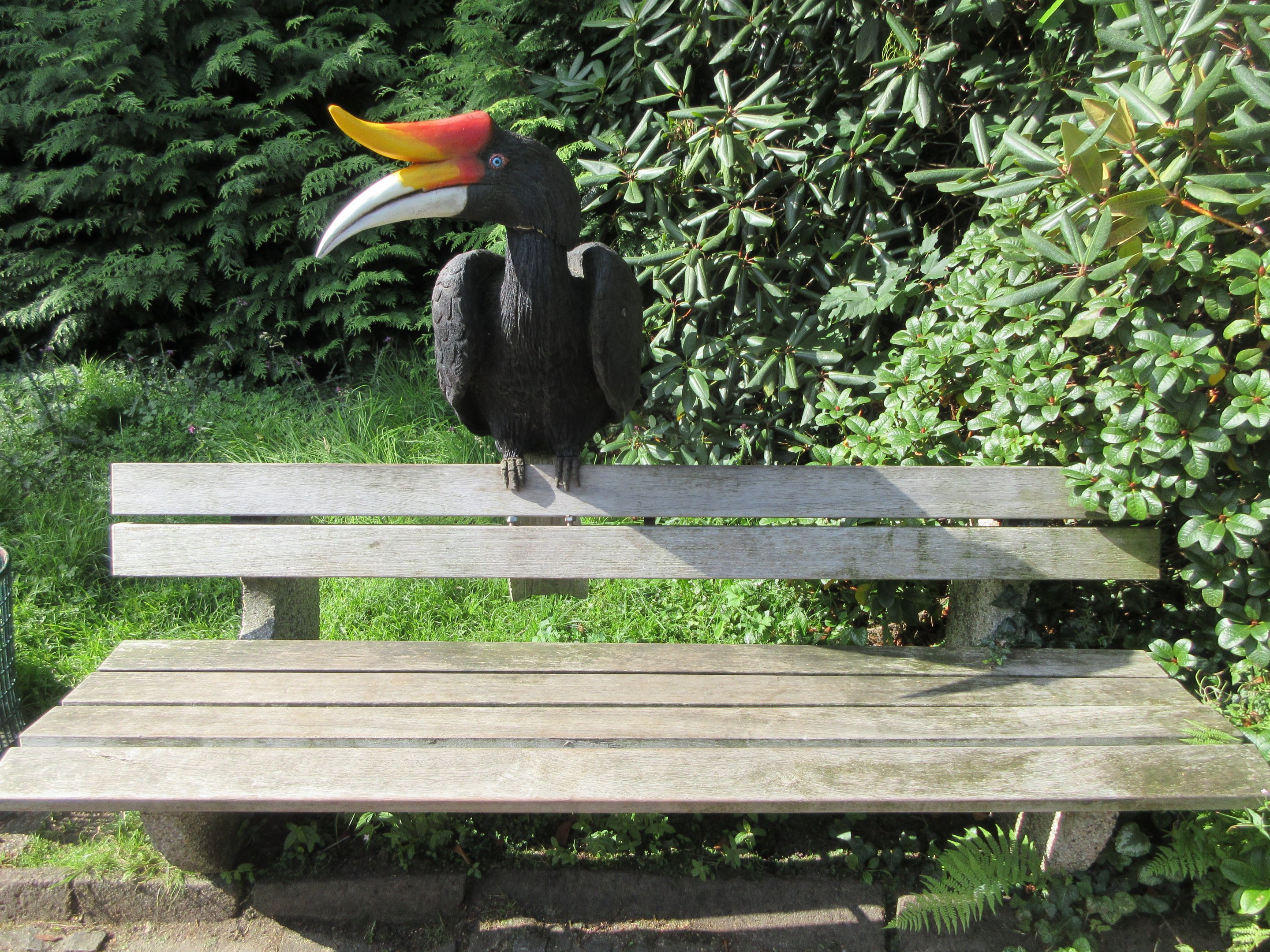 Hornbill Bench