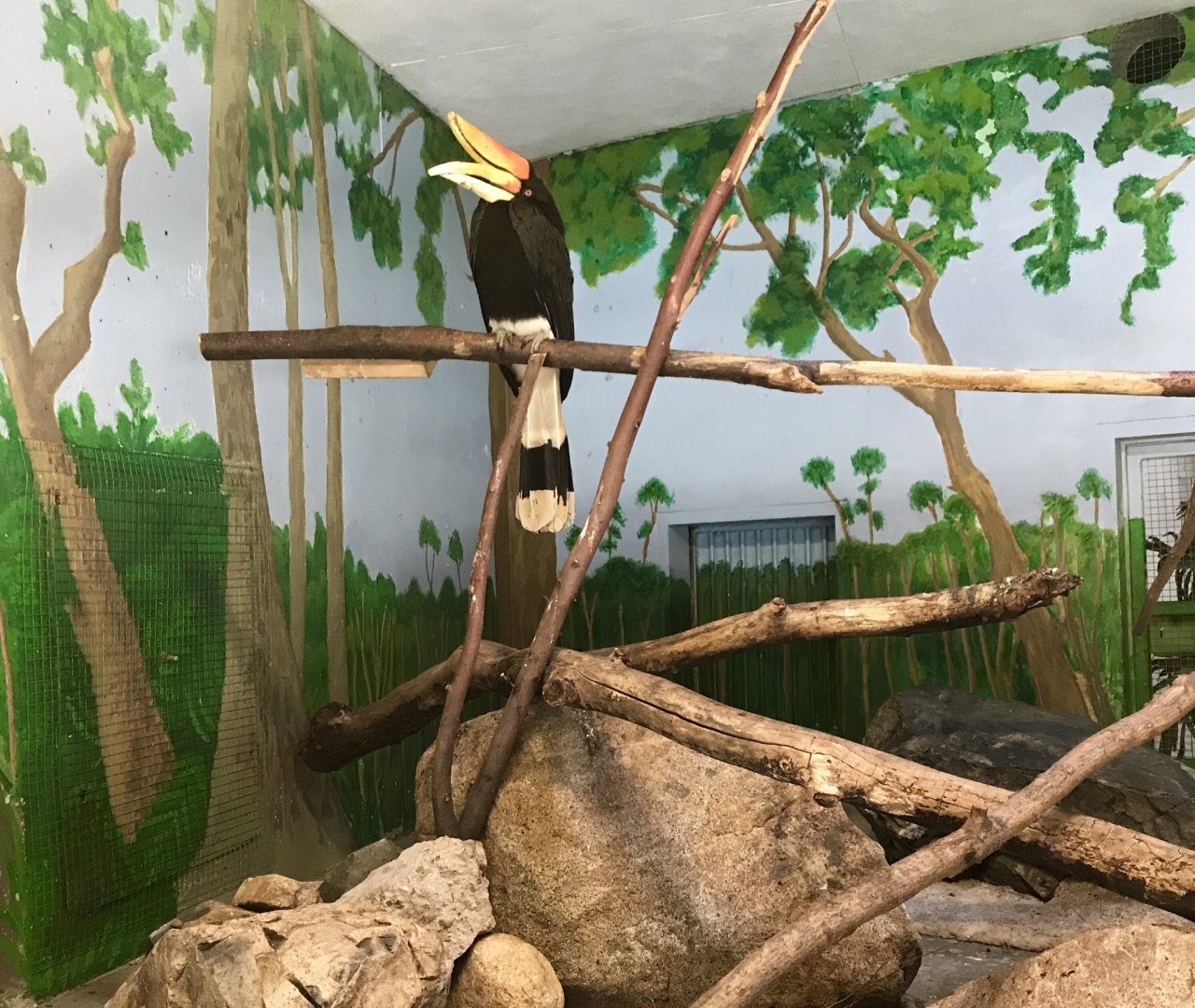 Hornbill Enclosure