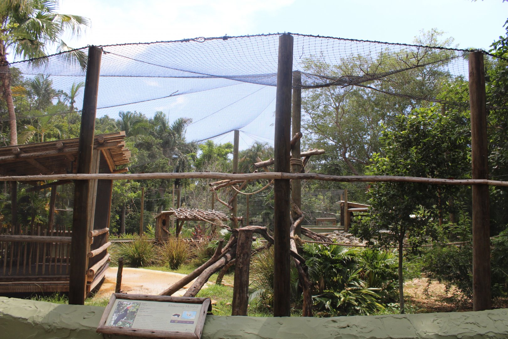 Hornbill Hangout - Rhinoceros Hornbill Aviary